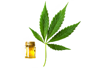 l'olio di canapa nella composizione di olio di Cannabis